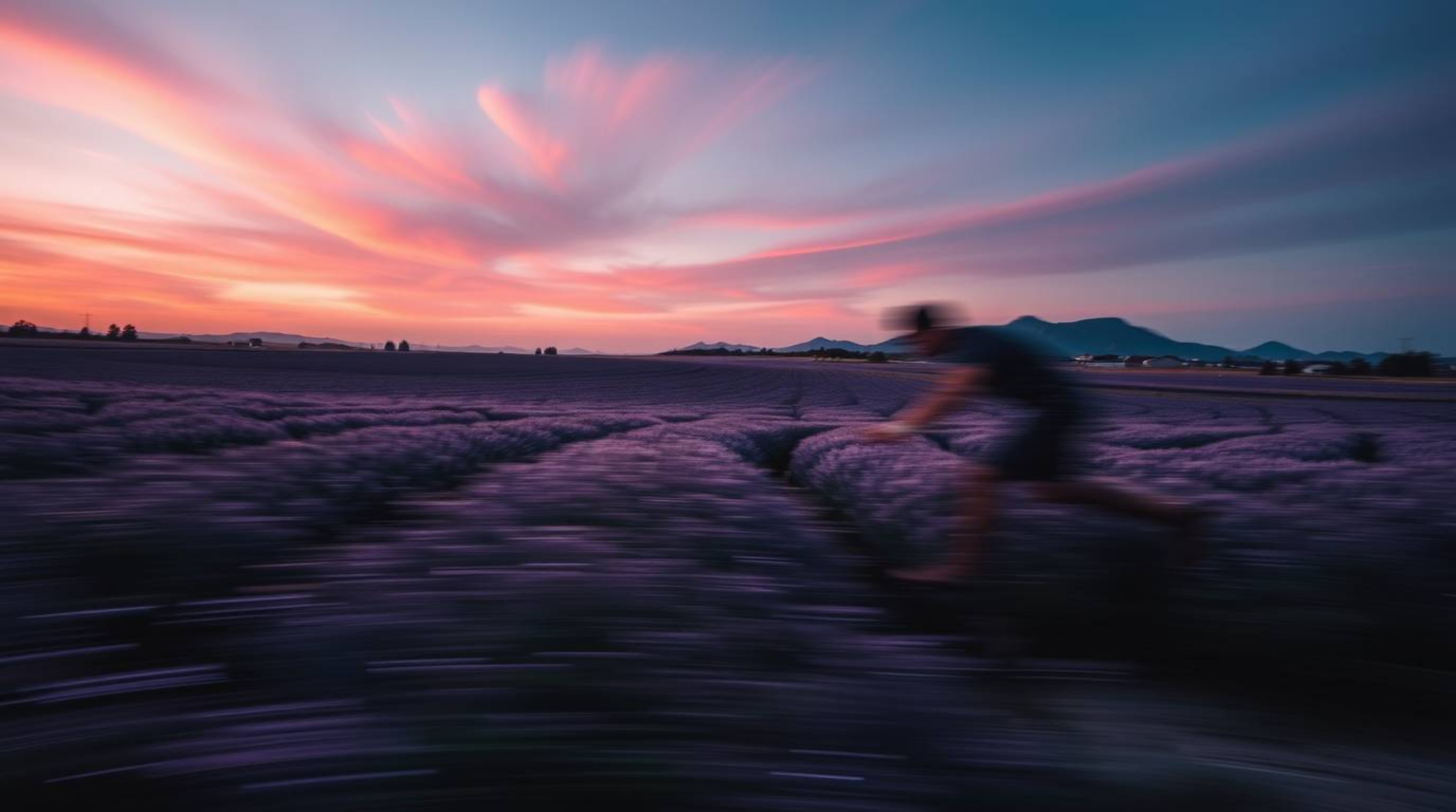 Explore breathtaking dynamic motion images featuring contrasting chiaroscuro lighting and vibrant lavender fields under a dre