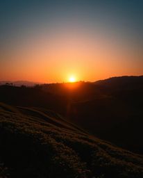 A photograph of a sunset over terraced tea plantations, illuminated with high-contrast low-key lighting. The scene features a
