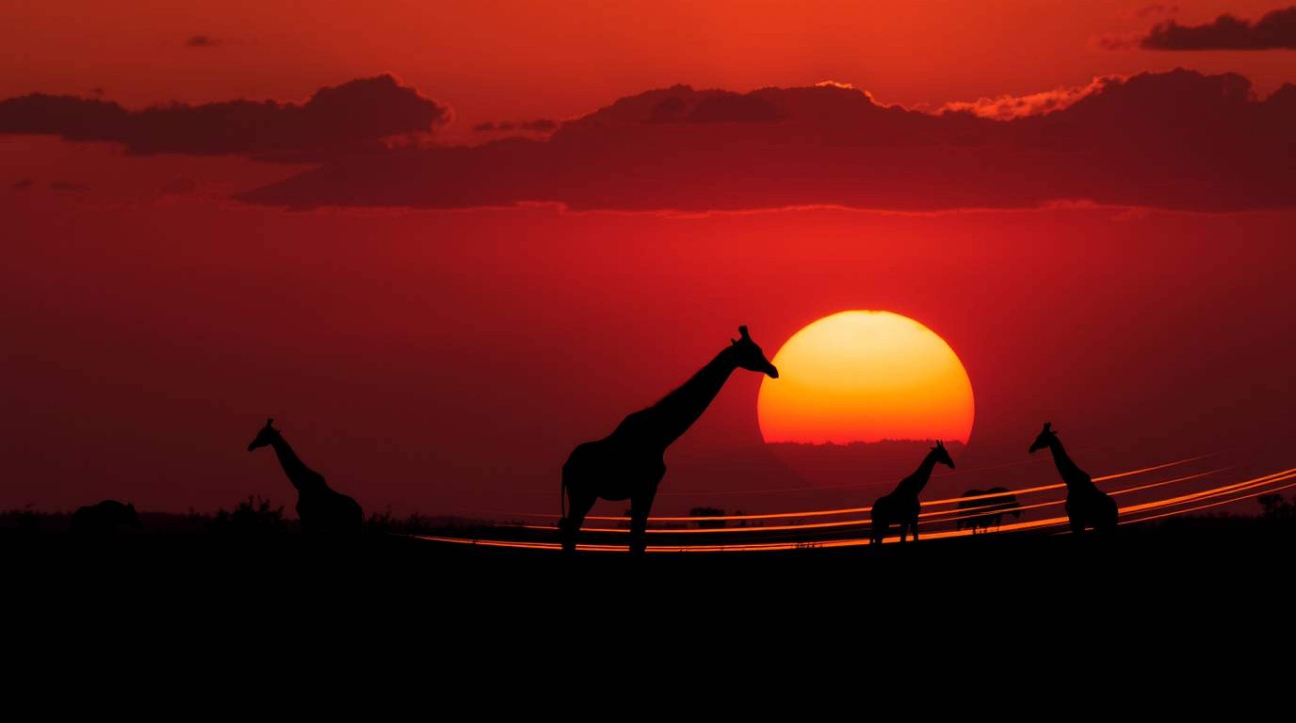 Capture the beauty of an African savanna sunset with long exposure photography. This technique creates stunning light trails 