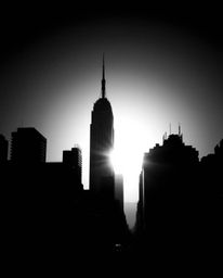 Experience a timeless and elegant aesthetic with this classic black and white image.  Silhouetted figures are set against a g
