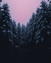 Intense jet black, wet rainy scene viewed from a low angle, depicting snowy pine trees reflecting sunset light, drizzling rai