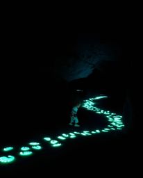 An intense jet black scene with glowing bioluminescent colors depicts a child following a trail of glowing footsteps into a d