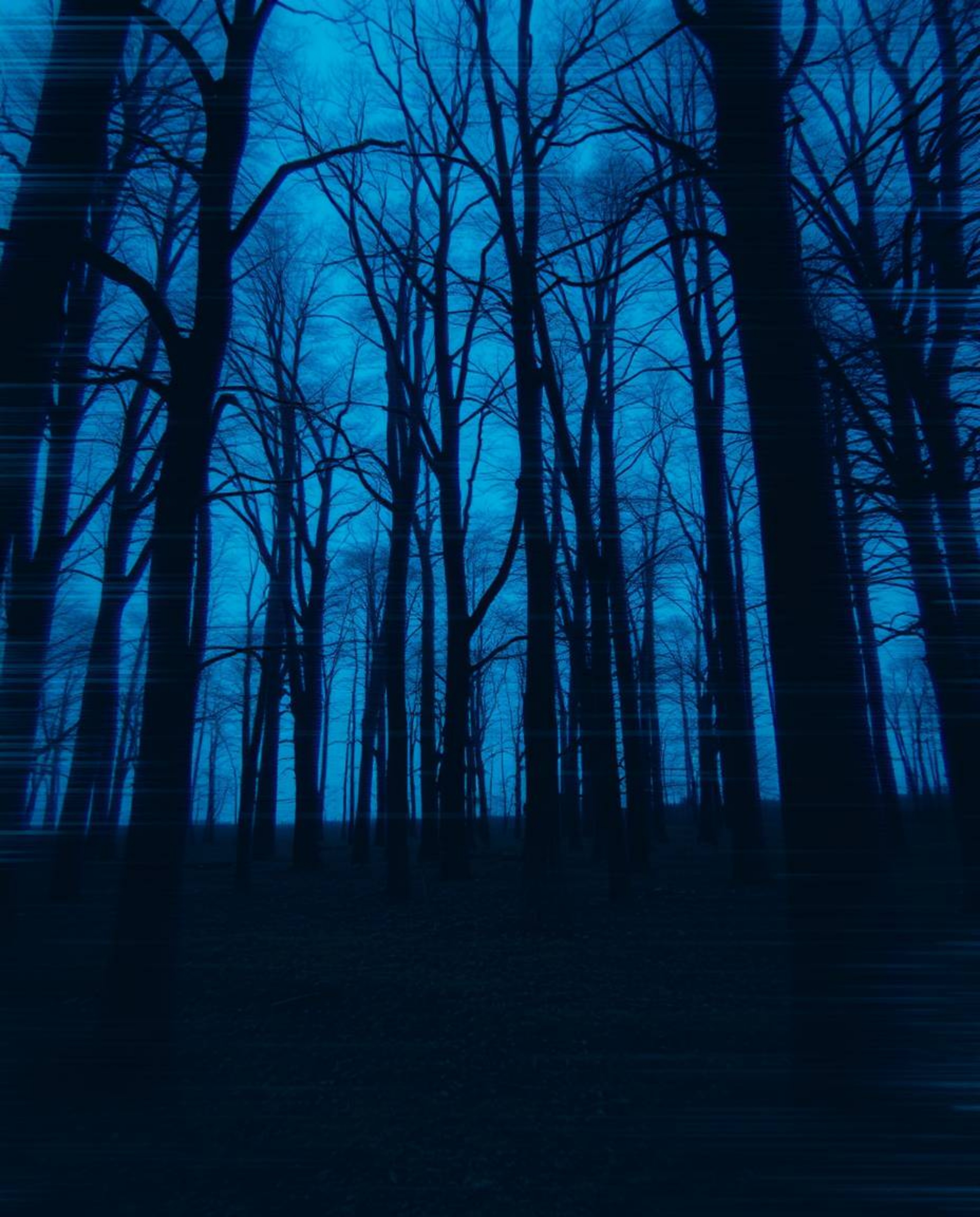 This captivating photograph depicts an eerie forest scene disrupted by a digital glitch effect. The image creates a surreal c