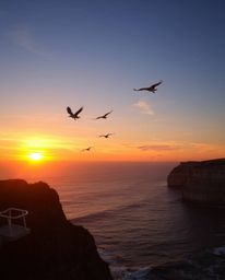 This image portrays a sunset over a coastal cliff, where soaring birds are bathed in electric vivid colors. The scene is illu