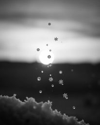 A timeless and elegant classic black and white photograph, taken in an extreme macro close-up, captures snowflakes falling du