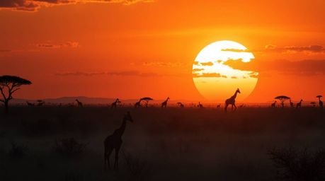 Experience an ethereal and spiritual savanna sunset reimagined in a futuristic sci-fi style. This image captures silhouetted 