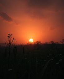 A dreamlike and surreal depiction of a sunset over a spring wildflower meadow, rendered in a strong, moody style. This artwor