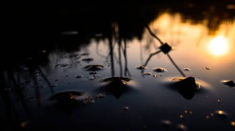 An extreme macro close-up of a calm pond reflecting a vibrant sunset, captured with high contrast and low-key lighting to emp