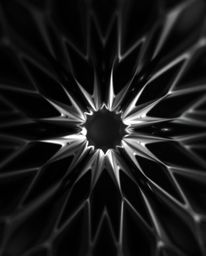 Explore the captivating world of black and white geometric abstraction with this extreme macro close-up image. Gentle soft li