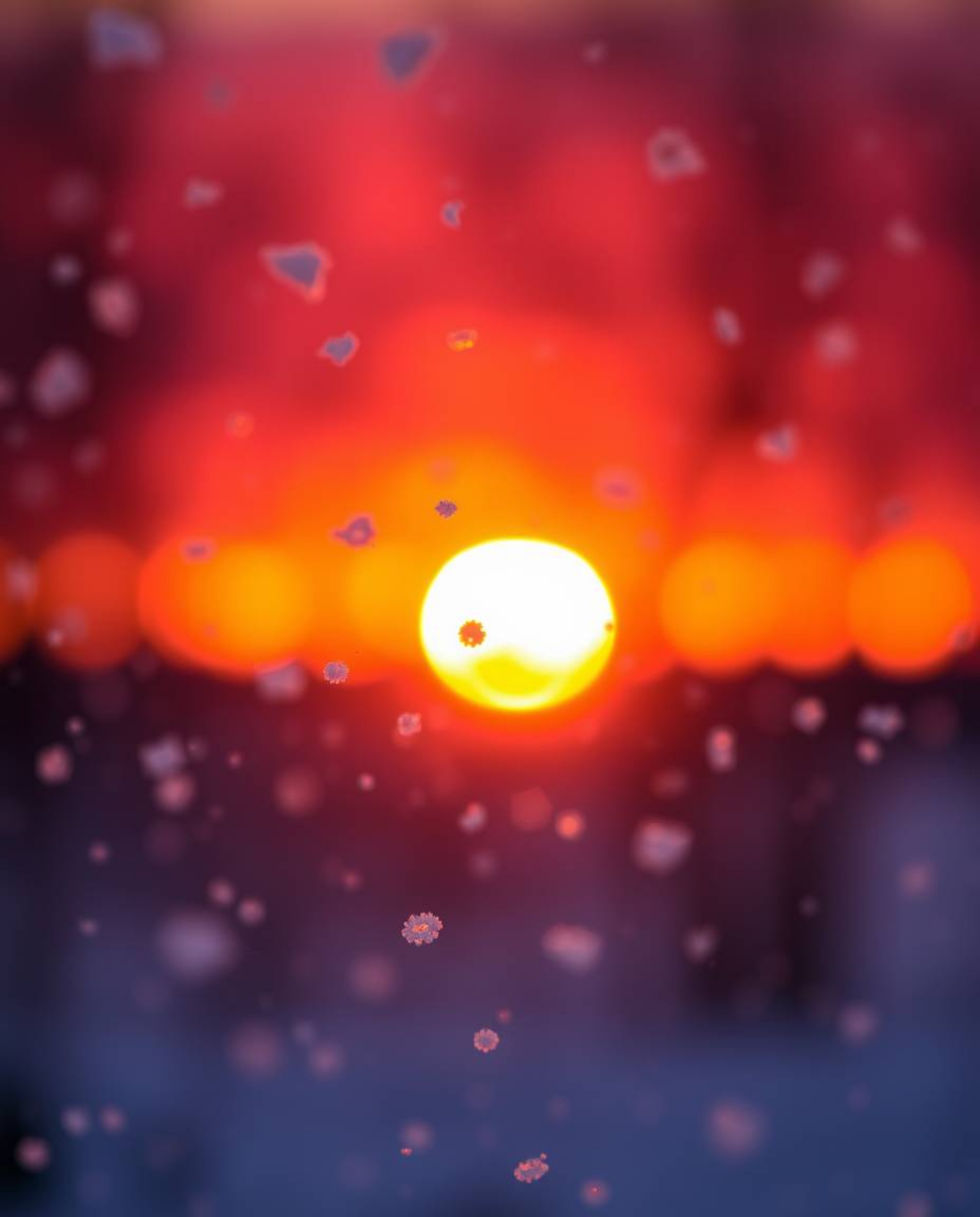 A stunning photograph captures snowflakes falling during a vibrant sunset, enhanced by a beautiful blurred bokeh effect. The 