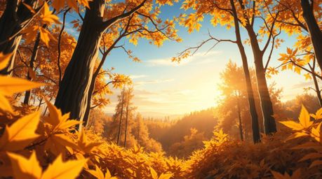 Immerse yourself in a stunning isekai anime-style illustration, featuring an extreme macro close-up of an autumn forest bathe