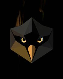 This geometric logo design is inspired by a bird's eye view, depicting eyes watching from a shadowed alley at night. The desi