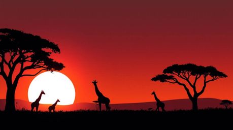 A modern flat design illustration captures a breathtaking sunset at the savanna, featuring silhouetted giraffes against the v