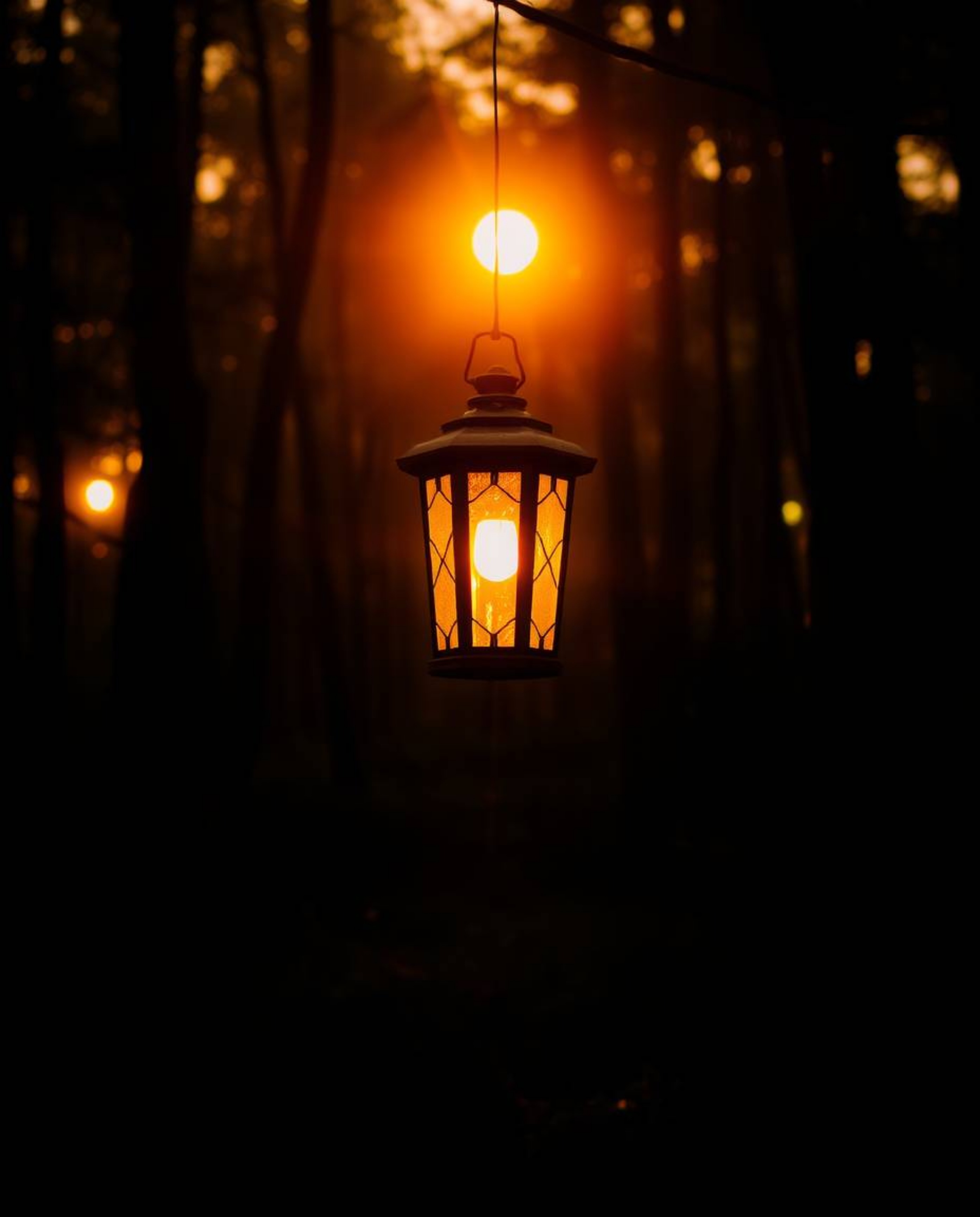 Experience the magic of warm golden hour light illuminating a vibrant scene. Imagine a glowing lantern nestled in a dark fore