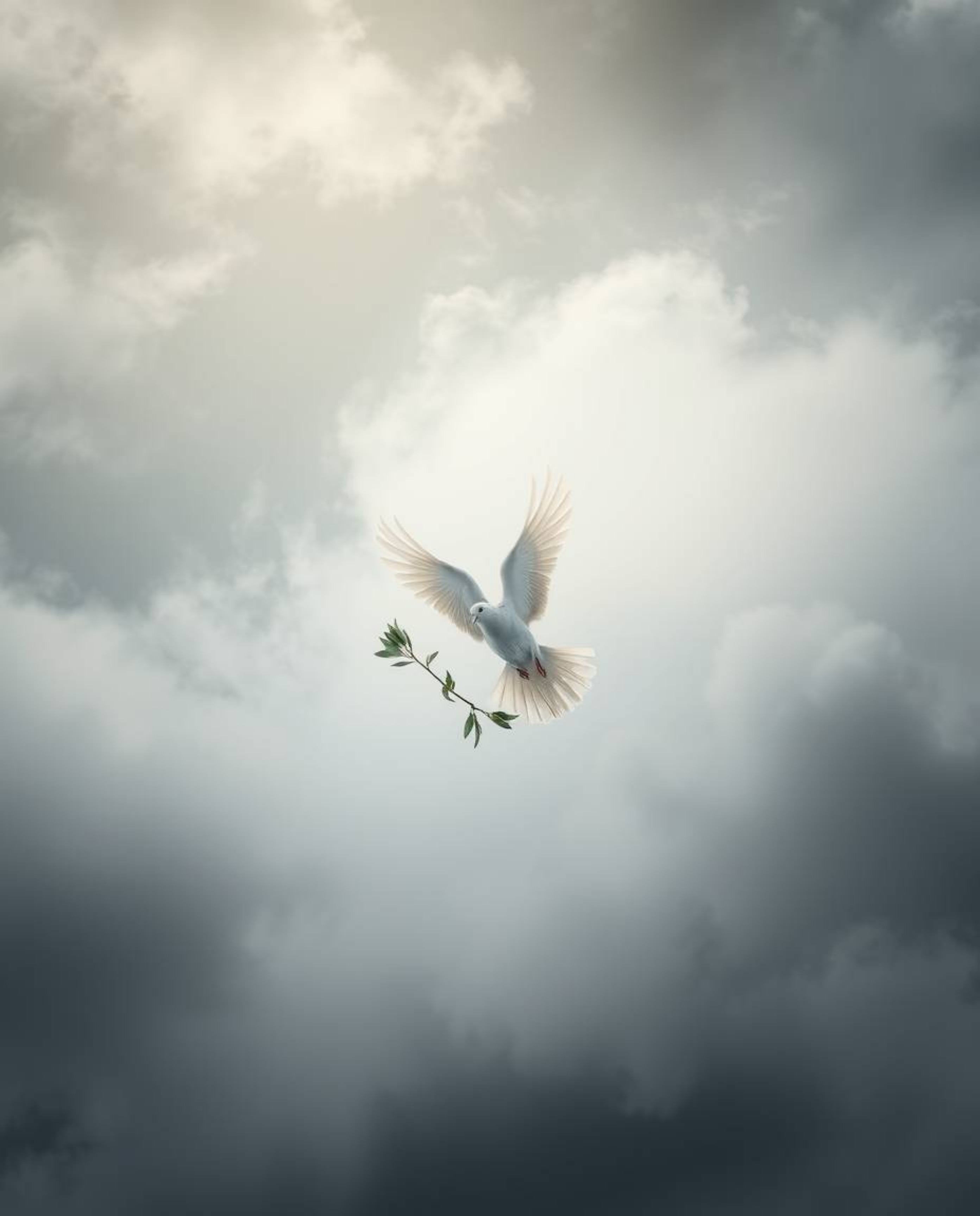 A captivating overhead shot depicts a dove carrying an olive branch amidst a dramatic stormy sky.  Soft, diffused light illum