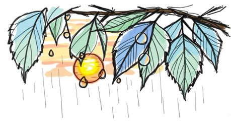 A hand-drawn sketch capturing a vibrant sunset reflecting beautifully in raindrops clinging to leaves. Executed in a color sk