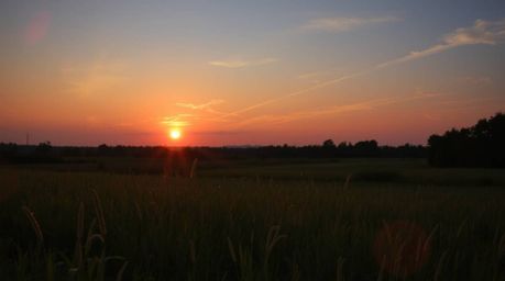 A stunning photograph capturing a sunset over a tranquil meadow where fireflies begin to illuminate the scene. The image boas