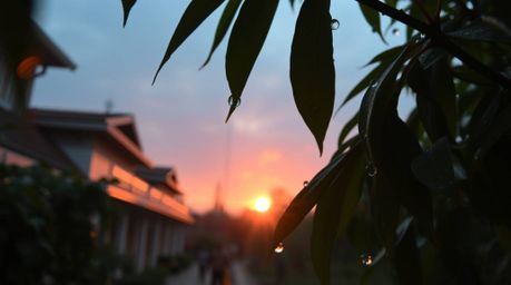 This photograph captures a precise architectural view of a sunset reflecting beautifully in raindrops on leaves. The wide-ang
