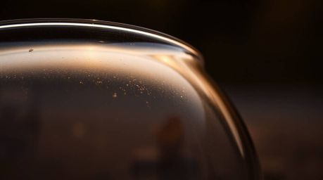 A close-up detail showcasing a glass object reflecting smooth gradient textures, illuminated by a back-lit silhouette that ac