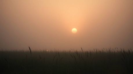 Experience a soft and dreamy atmosphere with volumetric lighting and a strong moody style. A low contrast, hazy sunset paints