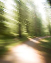 Experience the ethereal beauty of a long exposure photograph showcasing a digital glitch overlaying a tranquil forest scene. 