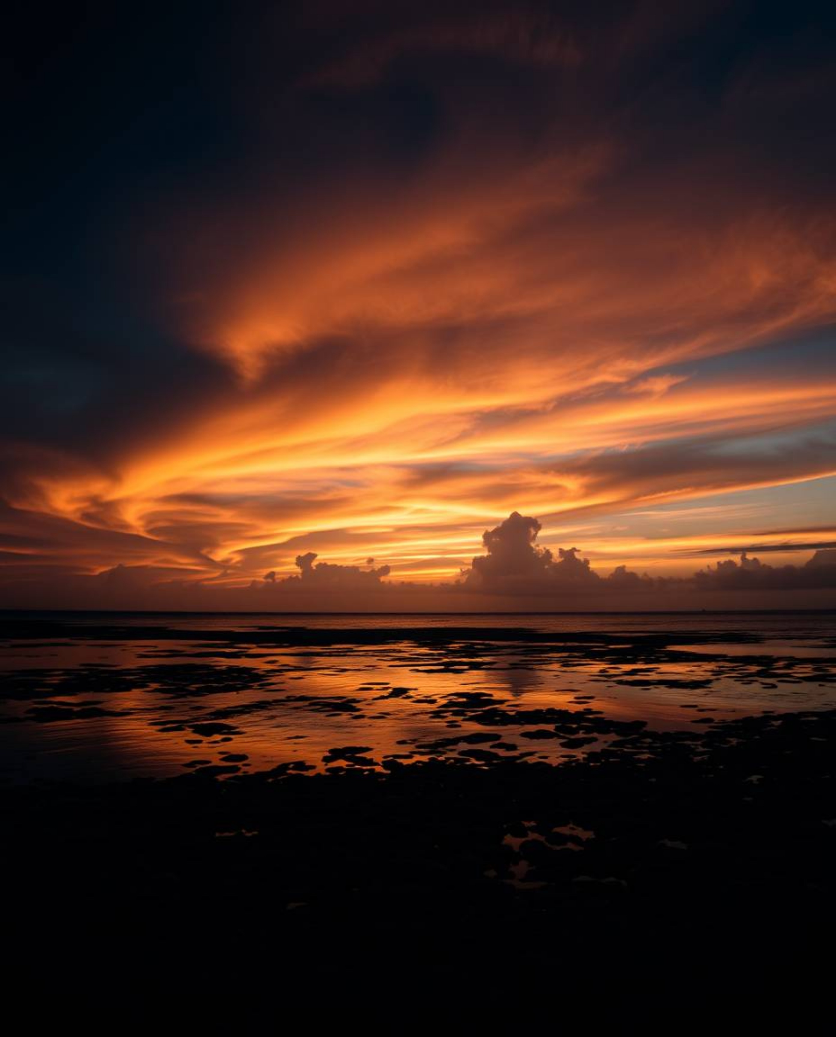 A fine art photograph captures a colorful sky over a coral reef at low tide, featuring graceful silhouetted backlighting. The