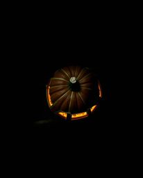 Witness a captivating transformation from a moody, bird's-eye perspective.  A magical pumpkin morphs into a carriage in this 