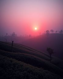 A surreal infrared photograph of a sunset over terraced tea plantations, creating a scene with a warm candlelight glow and a 