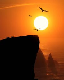 This is a dreamlike and surreal image of a silhouetted sunset over a coastal cliff, with soaring birds set against a bright l