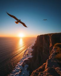 This is a high-angle photograph capturing a coastal cliff sunset with soaring birds. The scene is defined by strong, hard lig
