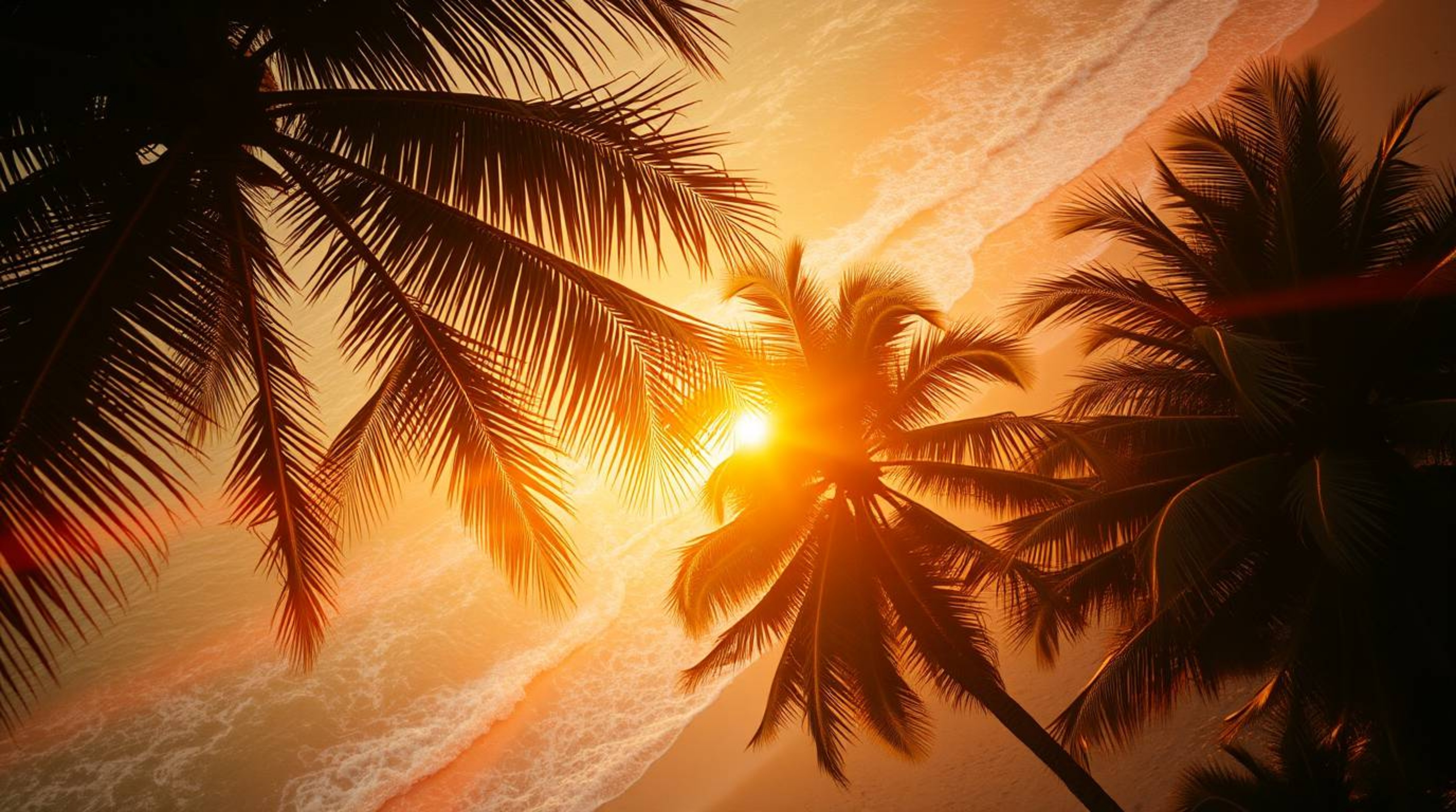 Experience the radiant luxury of a tropical beach sunset. This breathtaking overhead shot captures swaying palm trees bathed 