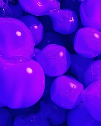 Explore a captivating digital image featuring high contrast and low-key lighting, showcasing three-dimensional fluid jelly bl