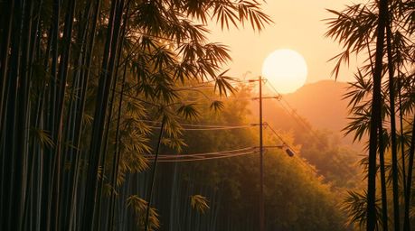 Inspired by the serene beauty of a bamboo forest bathed in warm sunset light, this geometric logo design features clean lines