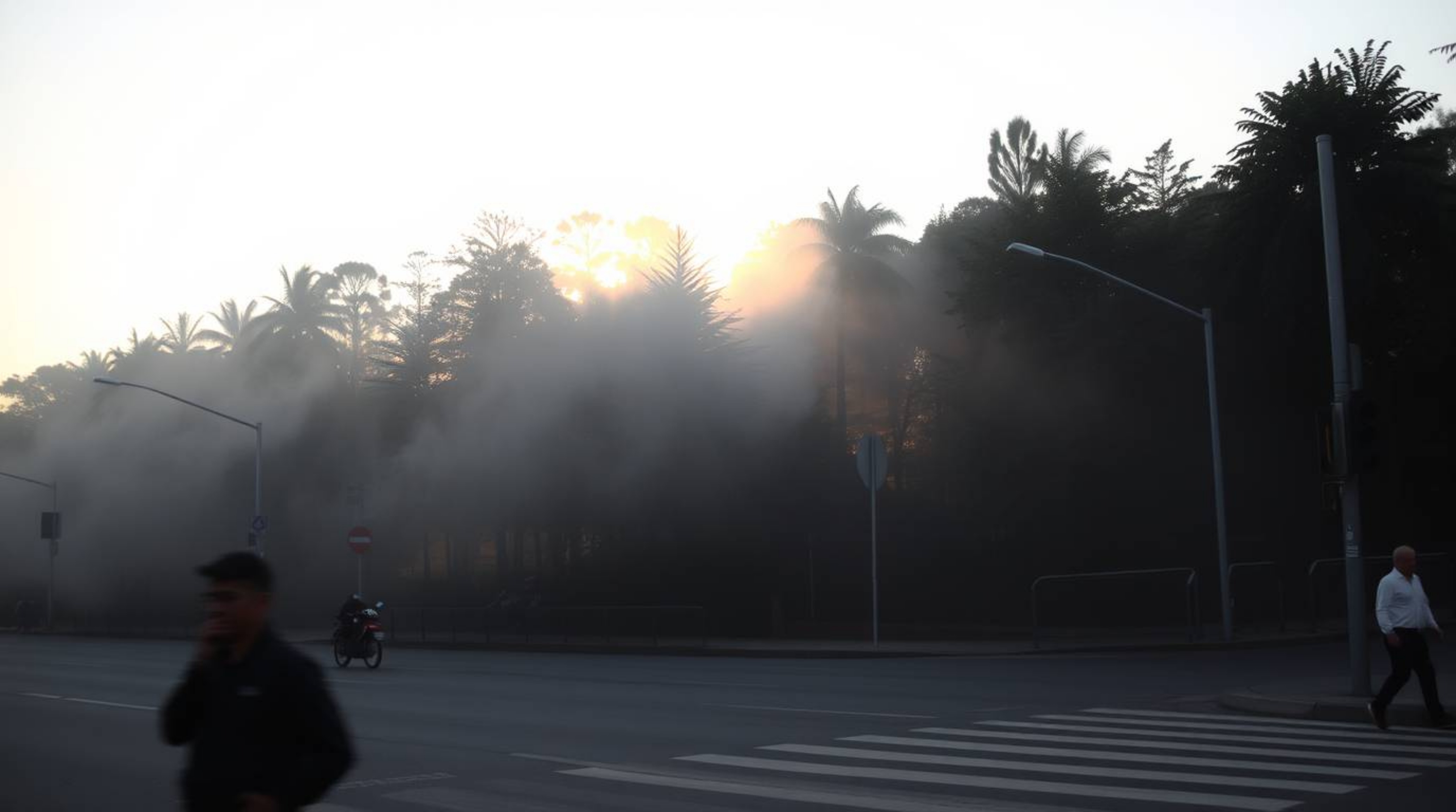 A captivating street photograph captures the ethereal beauty of mist rising from a forest during golden hour, seamlessly blen