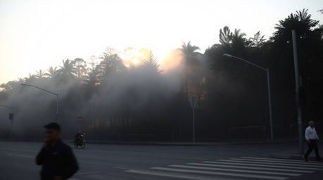 A captivating street photograph captures the ethereal beauty of mist rising from a forest during golden hour, seamlessly blen