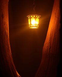 Explore the captivating contrast of light and shadow with this collection of images. From the warm golden glow of a lantern i