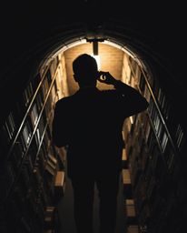 Explore the mystique of a hidden underground library through these captivating visuals. A silhouetted figure, bathed in backl