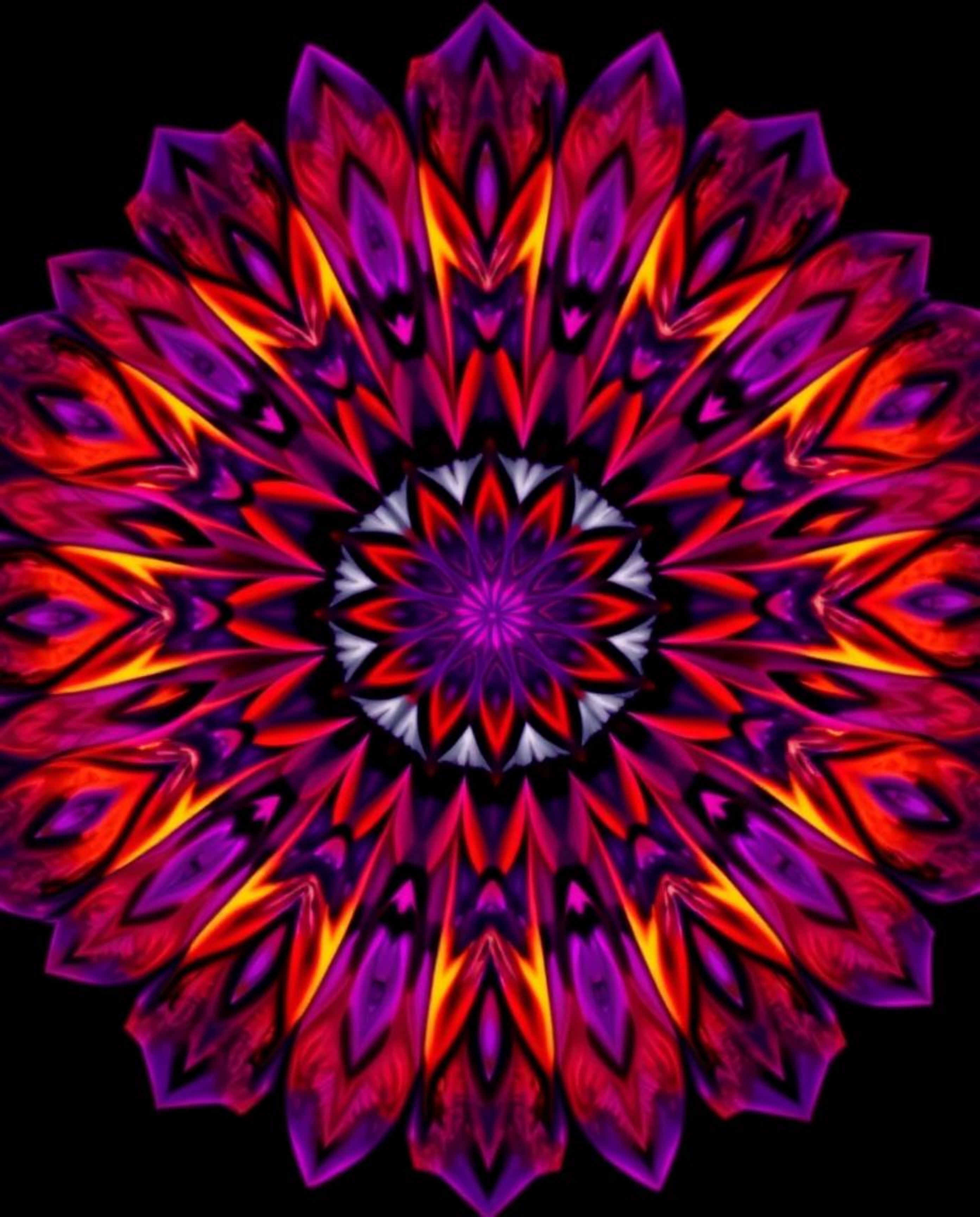 A captivating close-up reveals a geometric floral mandala bursting with vibrant colors.  The symmetrical design showcases a s