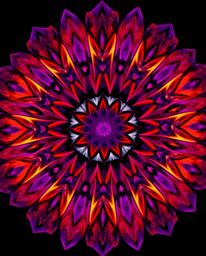 A captivating close-up reveals a geometric floral mandala bursting with vibrant colors.  The symmetrical design showcases a s