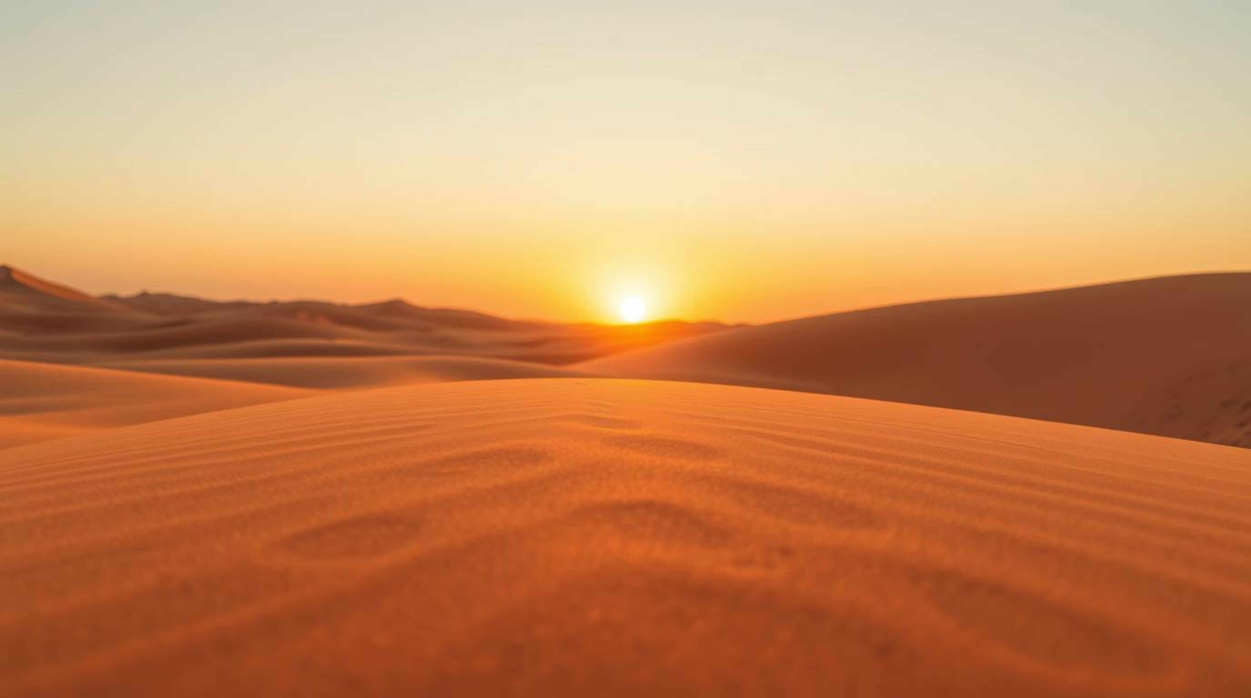 Explore the captivating beauty of the desert landscape through extreme macro close-ups and modern flat design. Witness the me