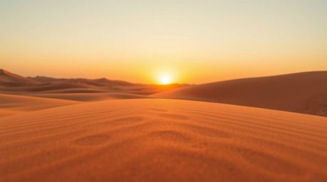 Explore the captivating beauty of the desert landscape through extreme macro close-ups and modern flat design. Witness the me