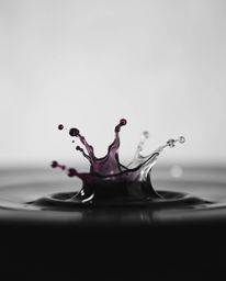 A timeless and elegant black and white macro photograph showcasing vibrant ink splashes in water.  The image features a soft 
