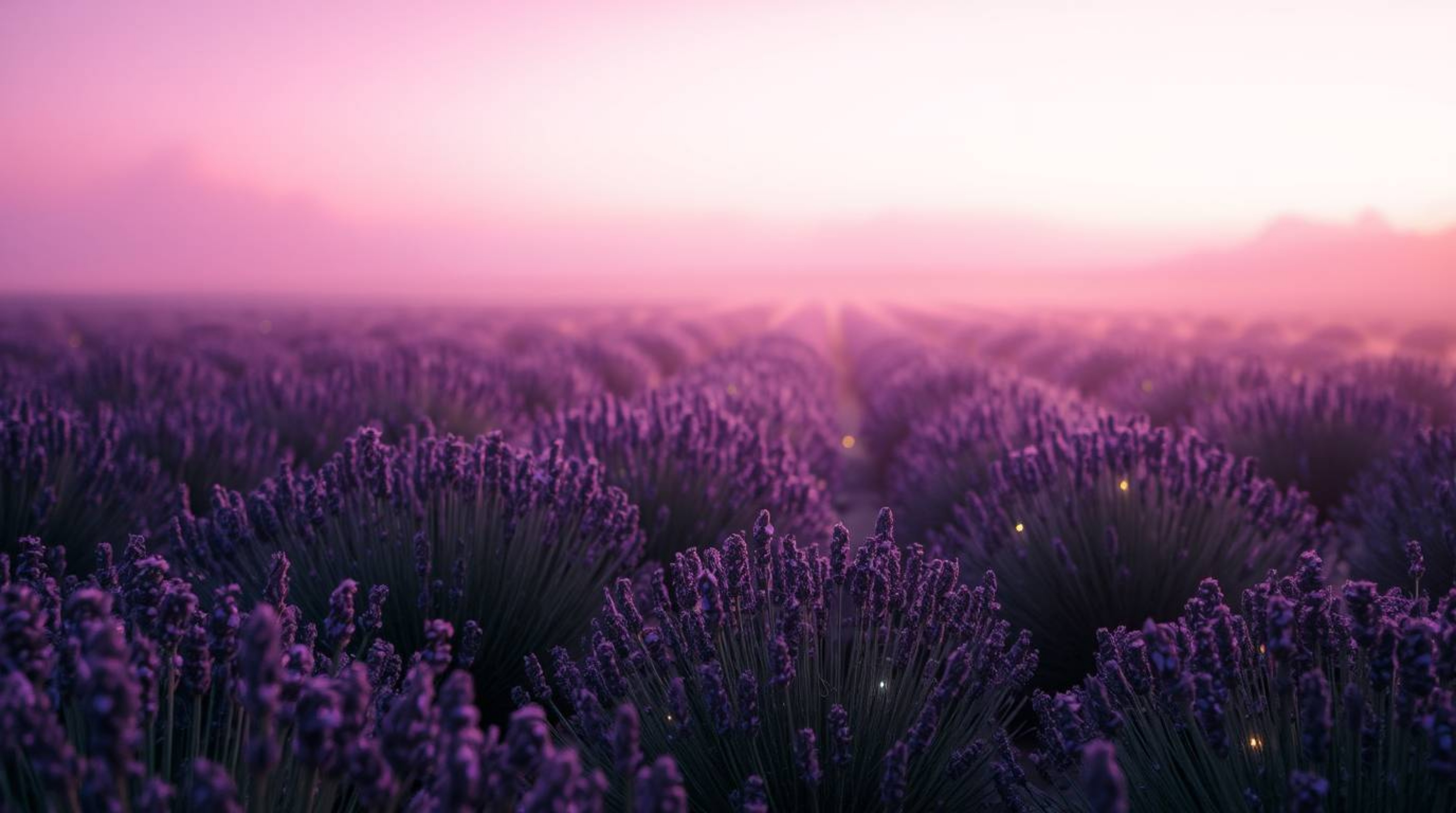 Experience a scene of tranquil beauty with volumetric lighting casting a soft, dreamy atmosphere over hazy lavender fields. T
