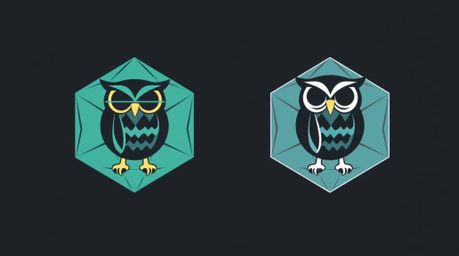 This geometric logo design features a stylized blind owl with clean lines and balanced shapes, symbolizing wisdom and guidanc