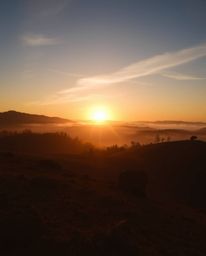 This image captures a dramatic Tuscan sunset over misty, rolling hills, viewed from a striking low-angle perspective looking 