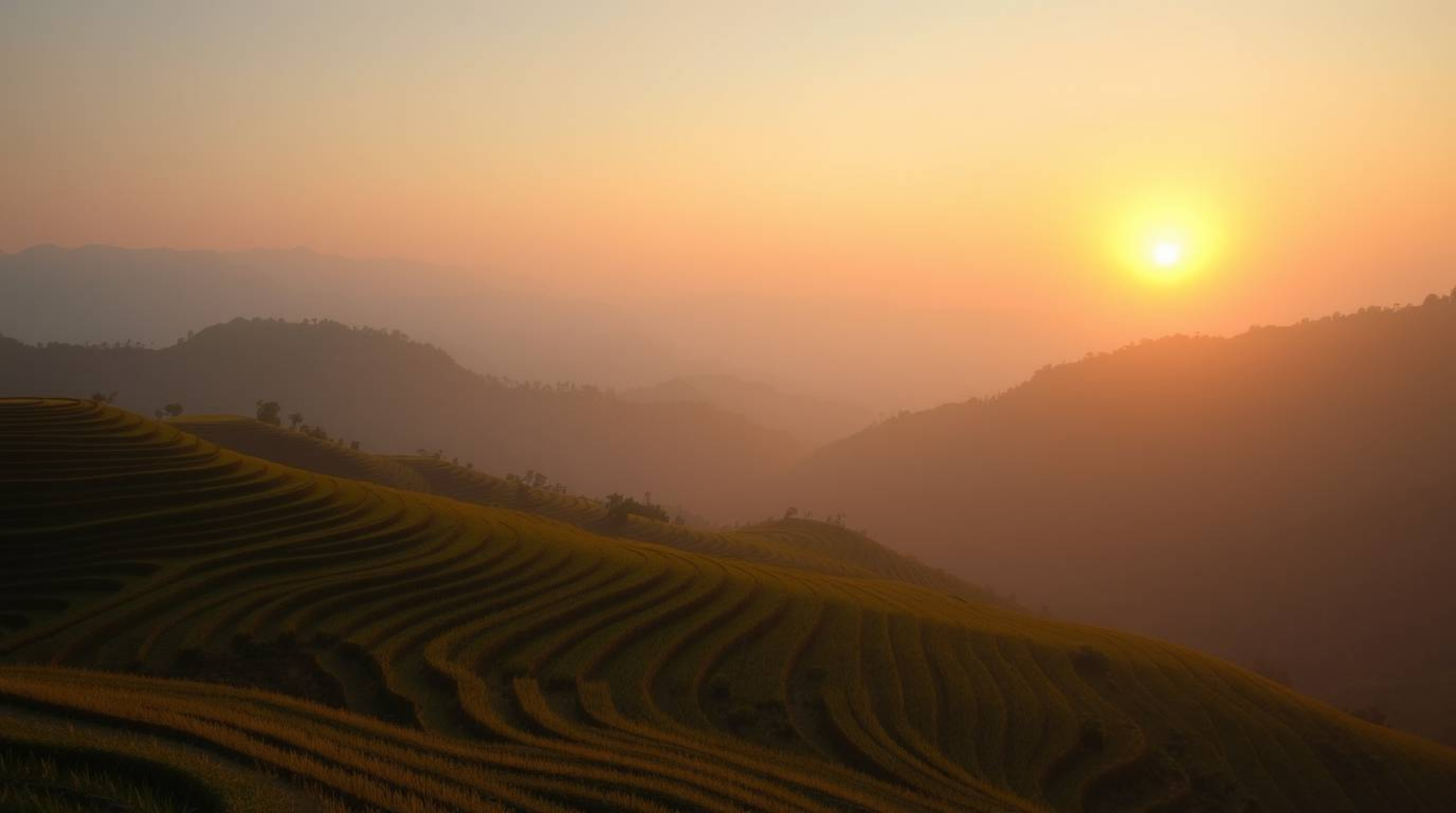Capture the dreamy essence of a sunset over rice terraces nestled in the mountains, bathed in the warm and enchanting light o