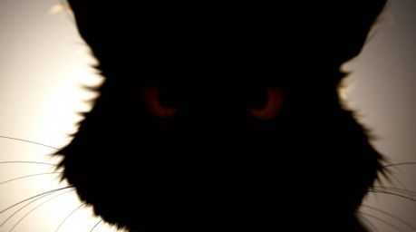 An extreme macro close-up captures the silhouette of a sarcastic animal sidekick, its expressive eyes highlighted against a b