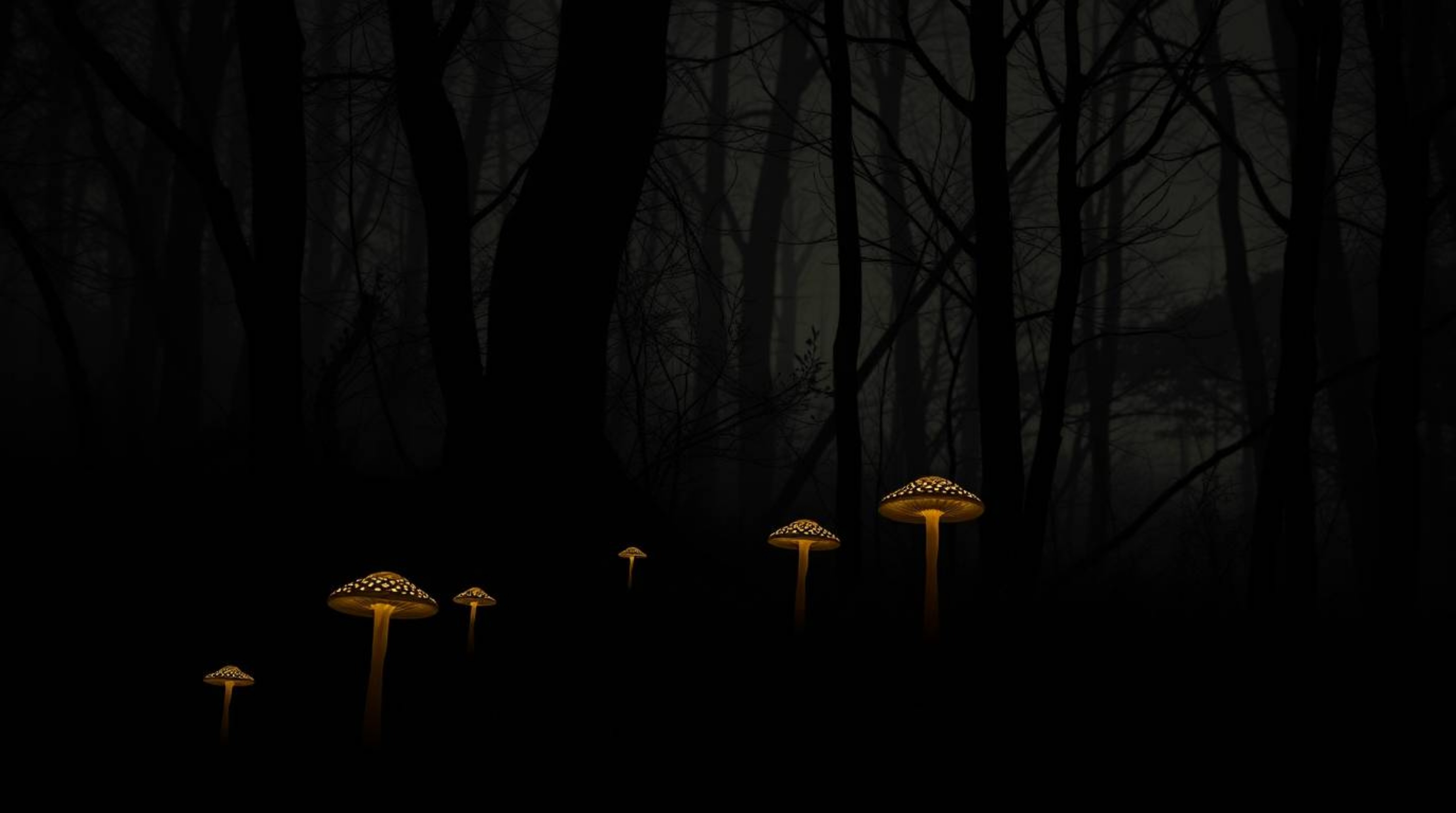 Immerse yourself in a captivating image of a vintage-style enchanted forest, bathed in high-contrast, low-key lighting. Glowi