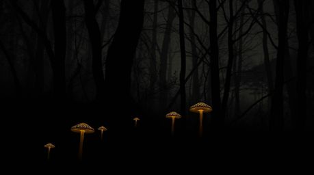 Immerse yourself in a captivating image of a vintage-style enchanted forest, bathed in high-contrast, low-key lighting. Glowi