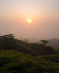 This is a soft cinematic, split-exposure photograph capturing a sunset over terraced tea plantations. It is characterized by 
